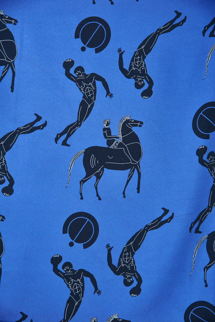Scarf Print Hercule